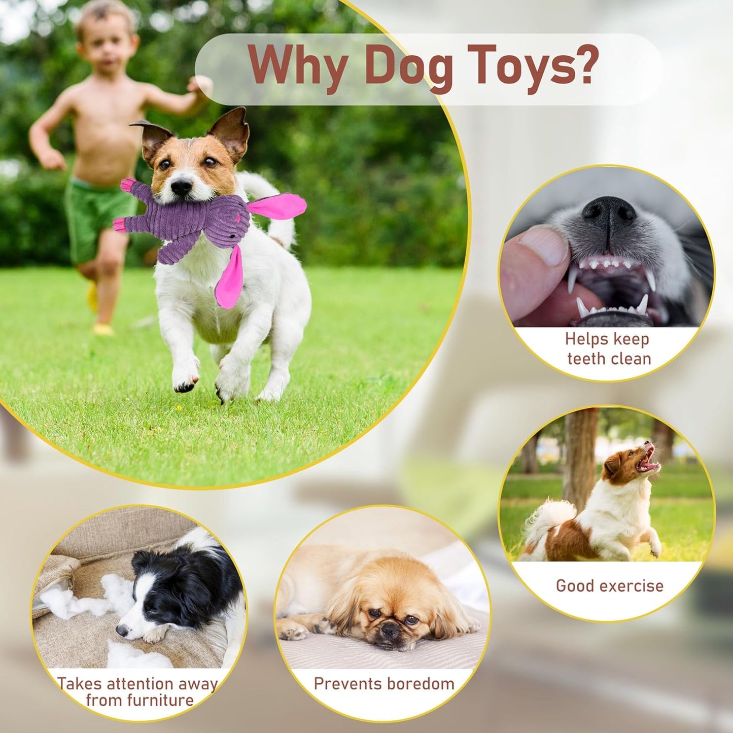 Dog Toys, 5 Pack, Plush Dog Squeaky Toys, Assortment Value Bundle Animal Pet Toy for Small Medium Large Dogs, Stuffed Puppy Chew Toy