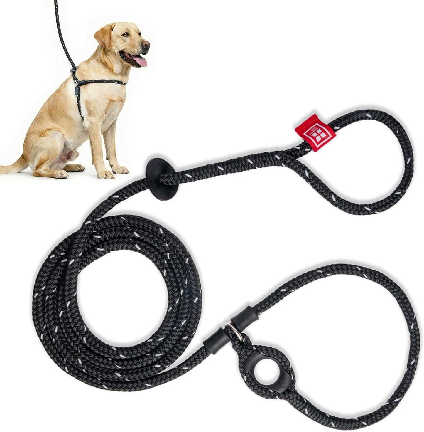 No Pull Dog Harness and Leash Set, anti Pull Dog Harness for All Breeds and Sizes, One-Piece Cushioned Rope Design Safely Prevents Escaping and Pulling (Small/Medium, Orange/Reflective)