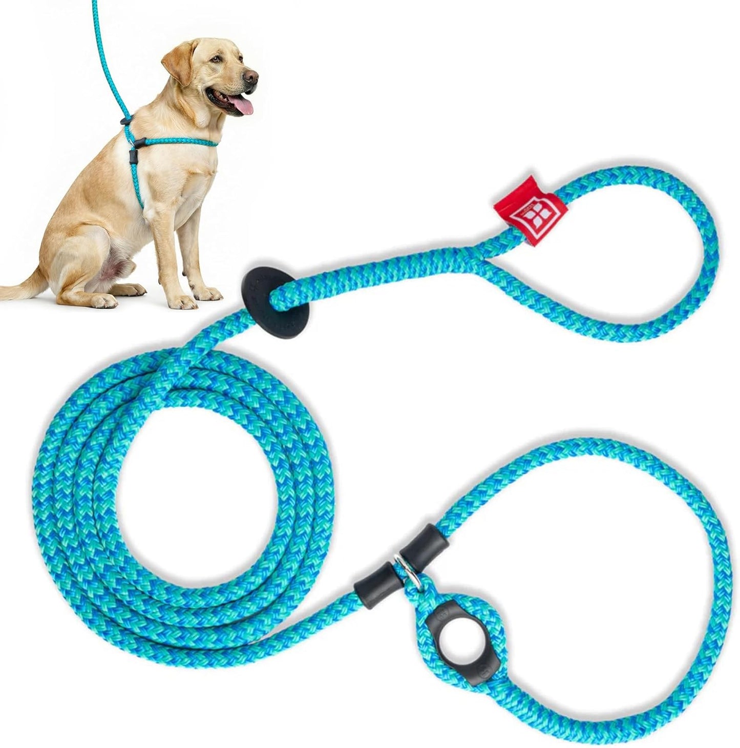 No Pull Dog Harness and Leash Set, anti Pull Dog Harness for All Breeds and Sizes, One-Piece Cushioned Rope Design Safely Prevents Escaping and Pulling (Small/Medium, Orange/Reflective)