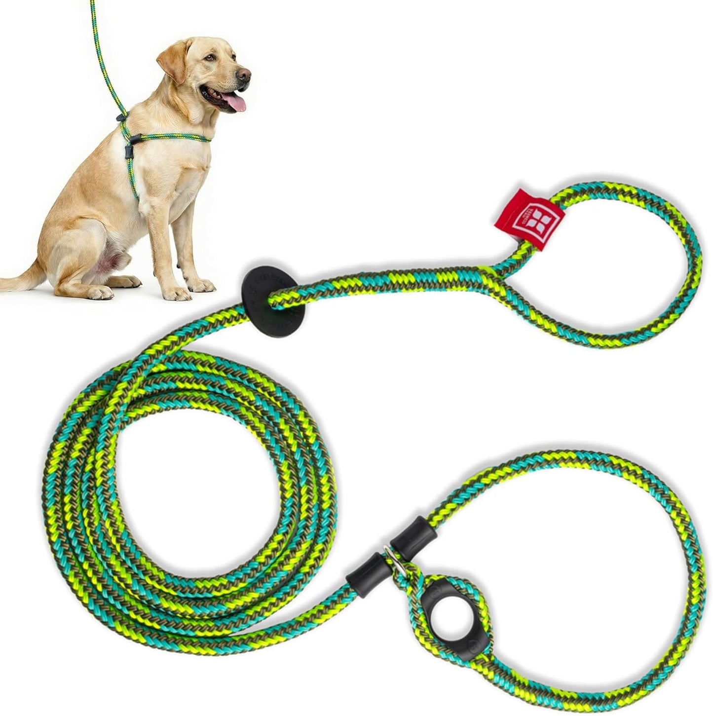 No Pull Dog Harness and Leash Set, anti Pull Dog Harness for All Breeds and Sizes, One-Piece Cushioned Rope Design Safely Prevents Escaping and Pulling (Small/Medium, Orange/Reflective)