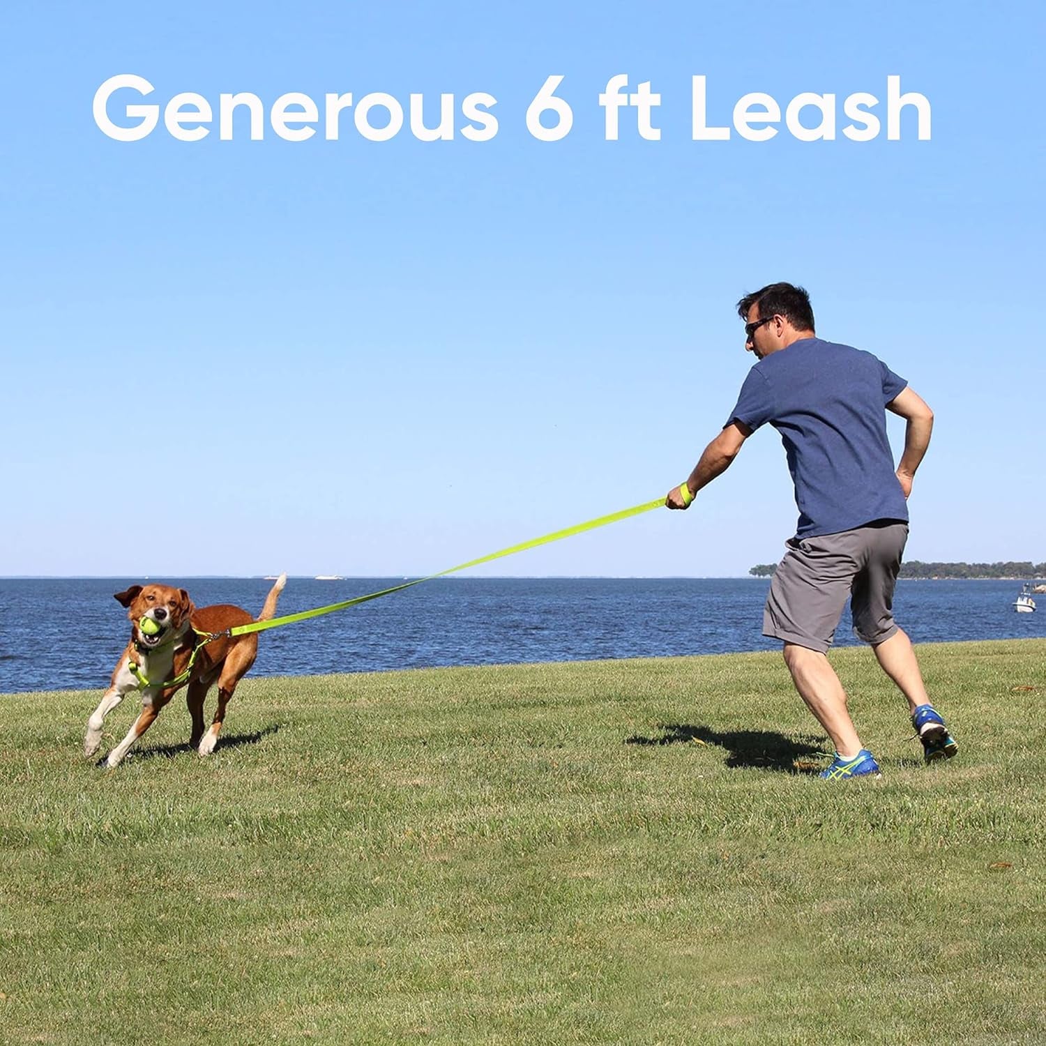 Pet / Puppy 6 - Feet Reflective Dog Leash Extra Small / Small 5/8 Inch Black Matching Collar and Harness Sold Separately.
