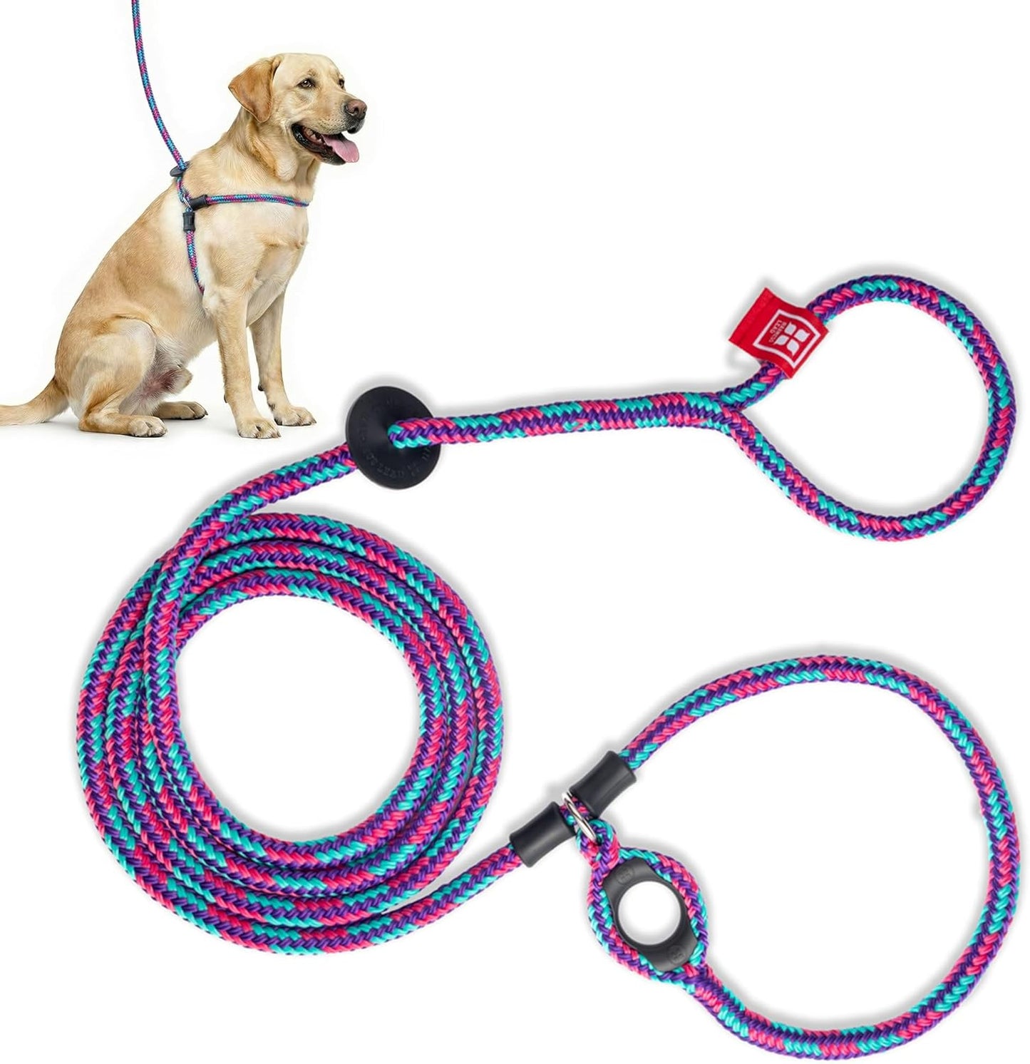 No Pull Dog Harness and Leash Set, anti Pull Dog Harness for All Breeds and Sizes, One-Piece Cushioned Rope Design Safely Prevents Escaping and Pulling (Small/Medium, Orange/Reflective)