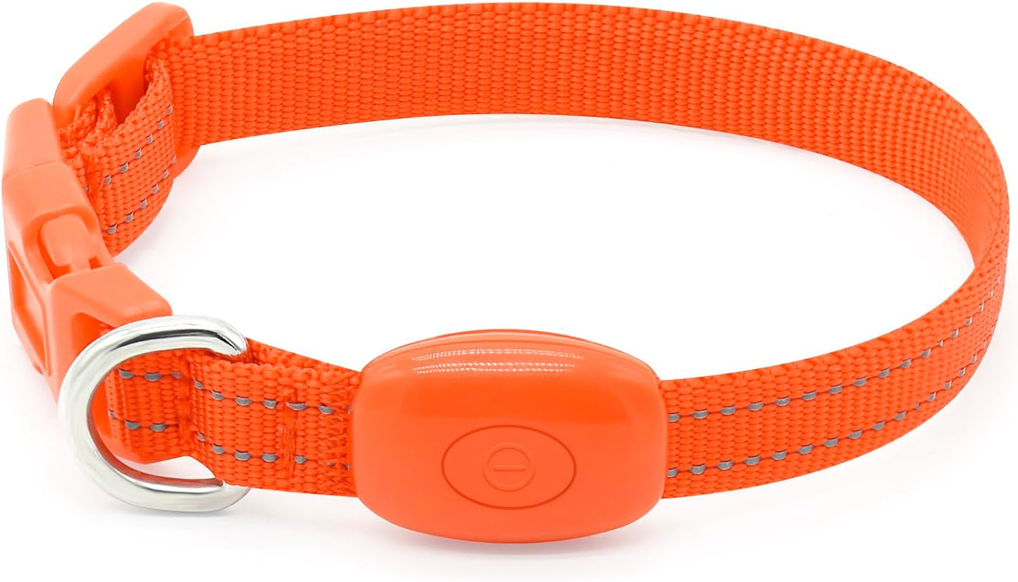 Adjustable LED Dog & Cat Collar - Rechargeable, Small Breeds, Green, 8.5-11.8 Inches, Nylon, Lightweight, Reflective, 2 Flash Modes