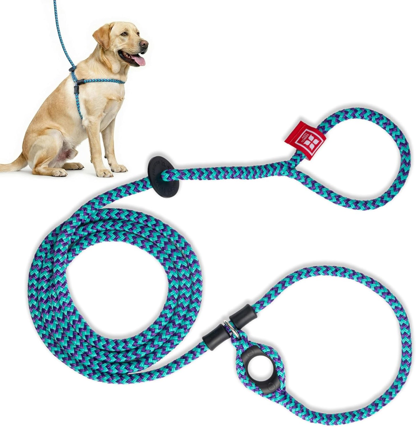 No Pull Dog Harness and Leash Set, anti Pull Dog Harness for All Breeds and Sizes, One-Piece Cushioned Rope Design Safely Prevents Escaping and Pulling (Small/Medium, Orange/Reflective)