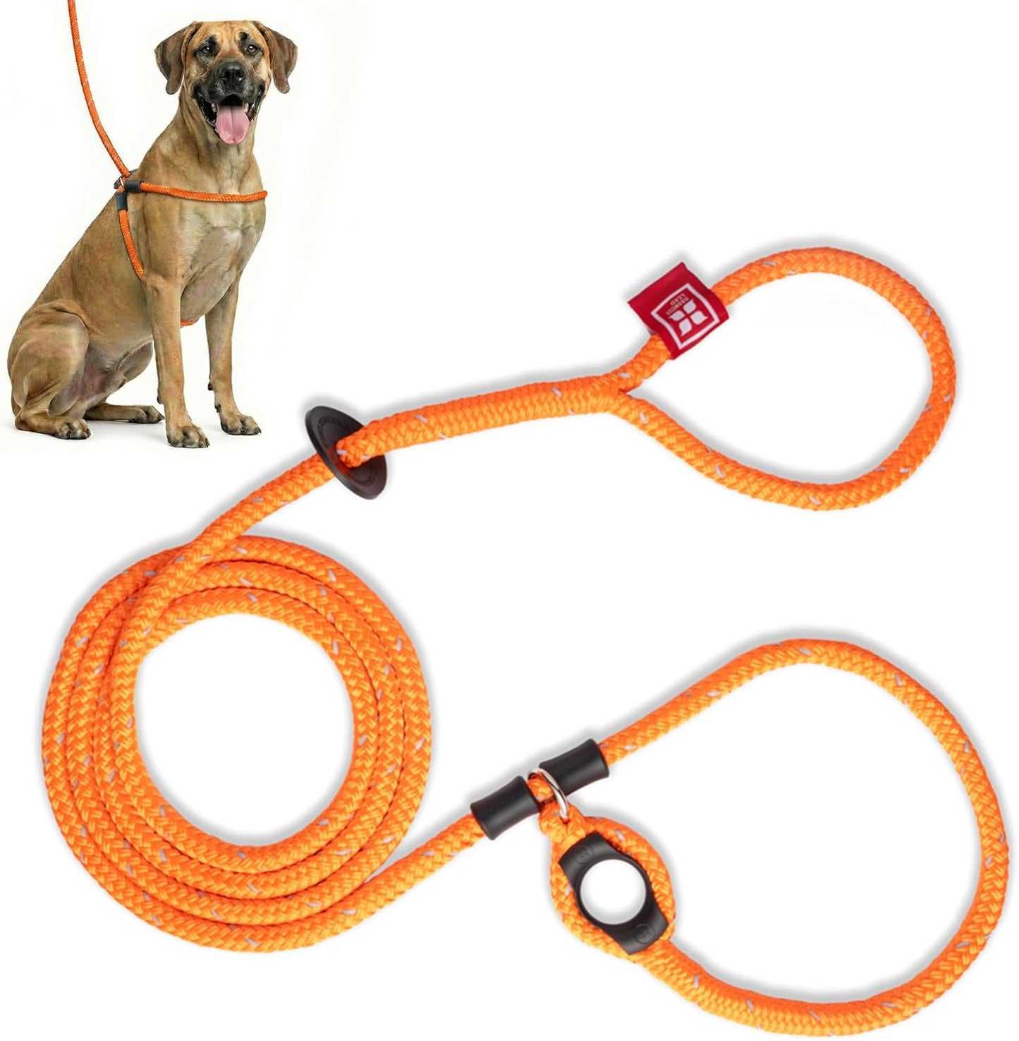 No Pull Dog Harness and Leash Set, anti Pull Dog Harness for All Breeds and Sizes, One-Piece Cushioned Rope Design Safely Prevents Escaping and Pulling (Small/Medium, Orange/Reflective)