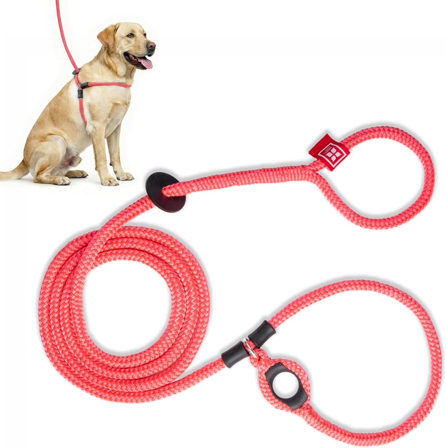 No Pull Dog Harness and Leash Set, anti Pull Dog Harness for All Breeds and Sizes, One-Piece Cushioned Rope Design Safely Prevents Escaping and Pulling (Small/Medium, Orange/Reflective)