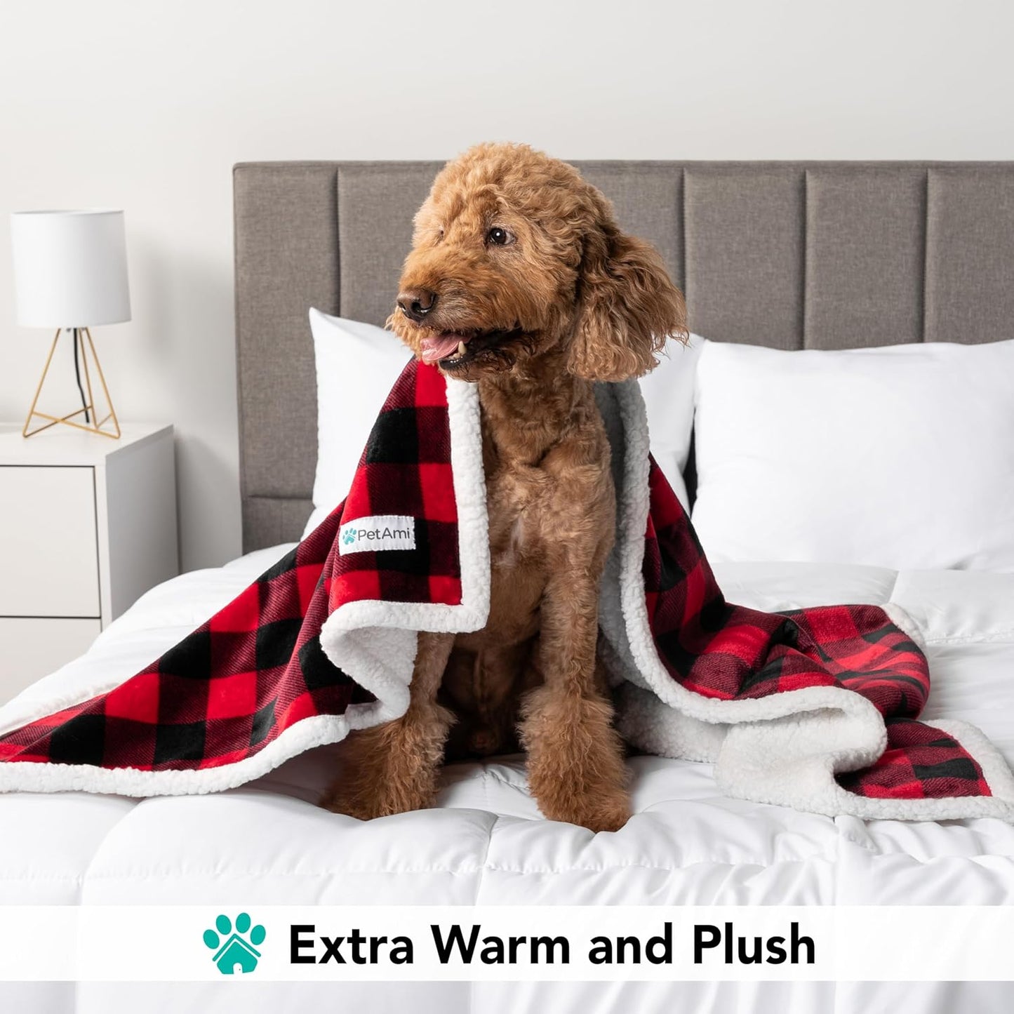 Dog Blanket for Medium Large Dogs, Pet Bed Blanket Cat Puppy Kitten, Fleece Furniture Couch Cover Protector Sofa Car, Soft Sherpa Dog Throw Plush Reversible Washable, 40X60 Checker Red